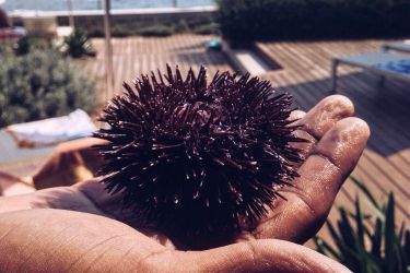 Ristoranti Marettimo Cosa Mangiare Sull Isola Delle Grotte